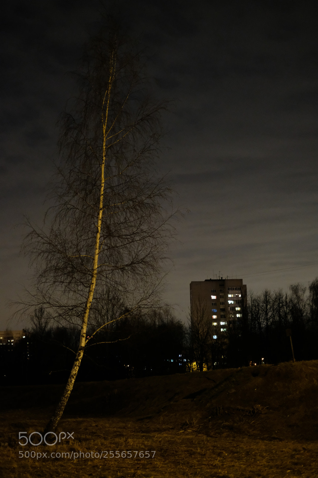 Fujifilm X-T20 sample photo. Untitled photography