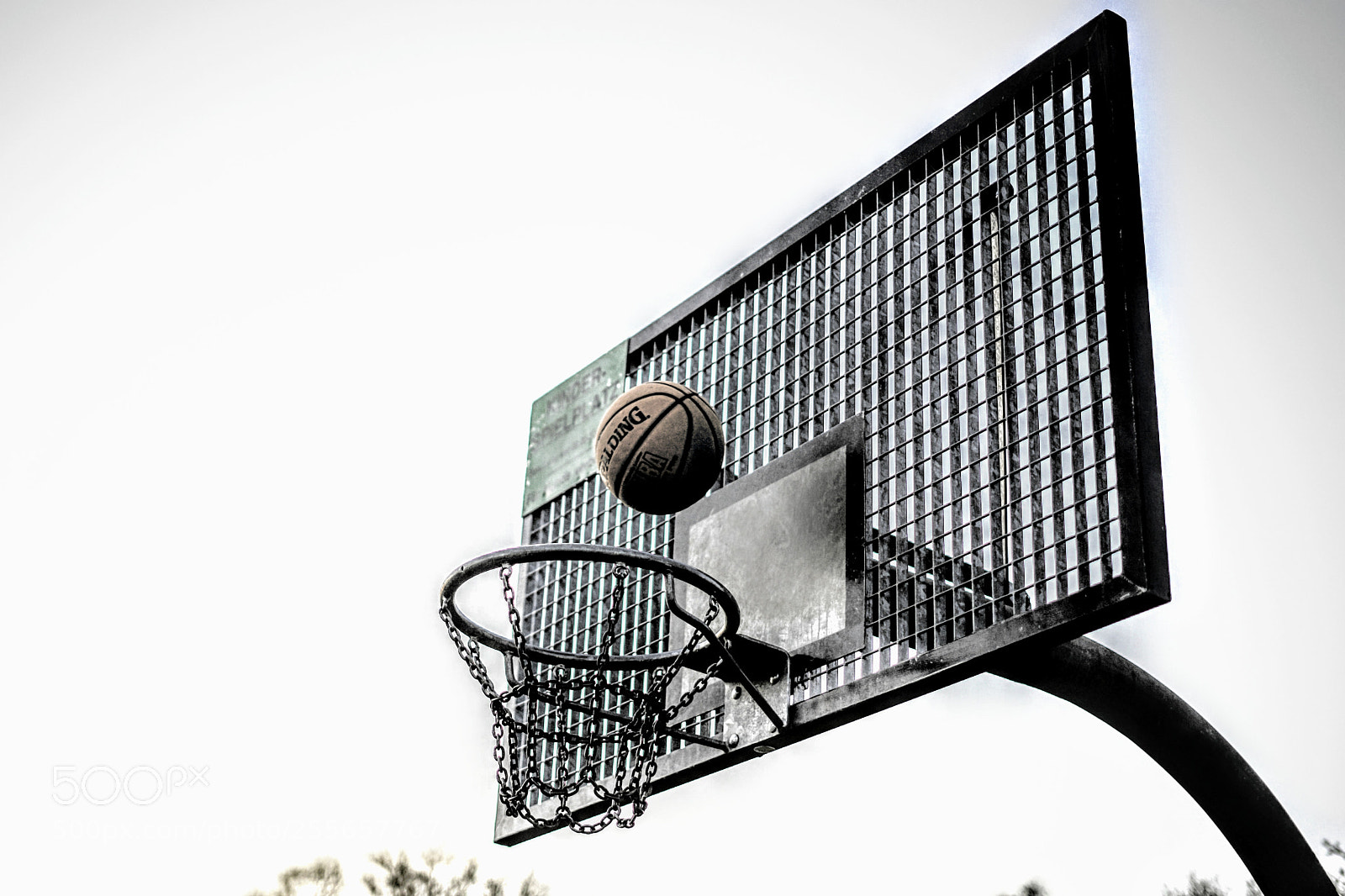 Sony a7 sample photo. Basketball photography