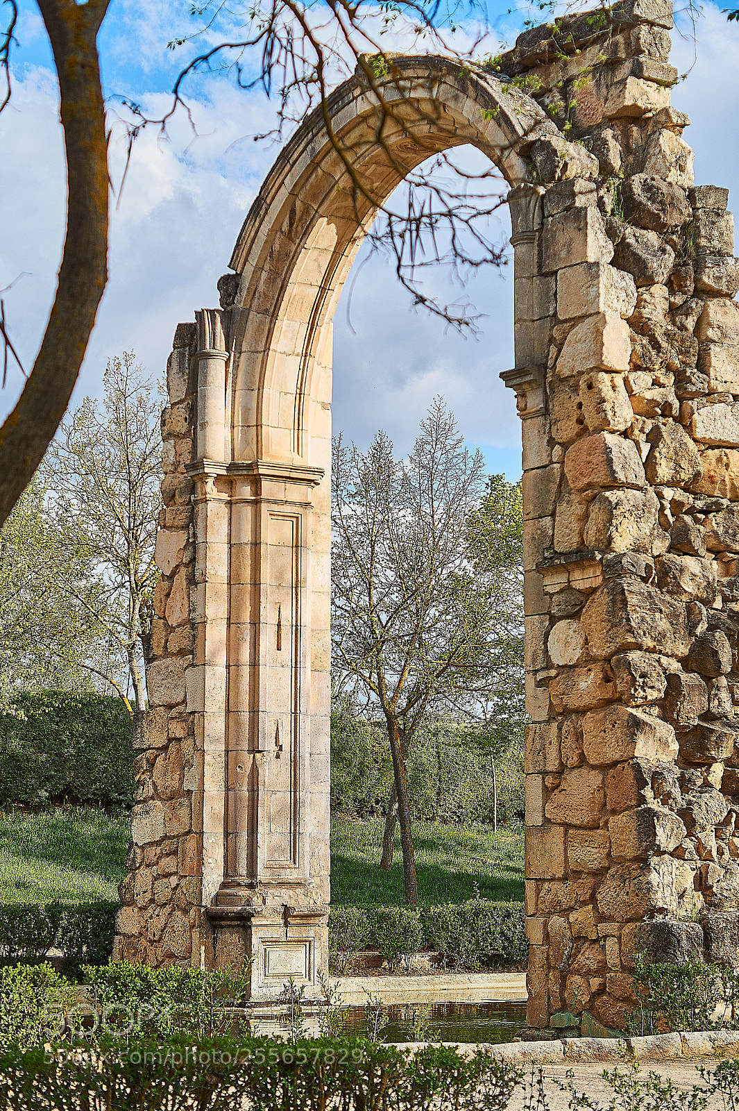 Sony SLT-A58 sample photo. Arco en el parque photography