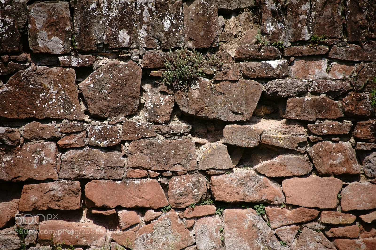 Sony a7 II sample photo. Rustic wall close-up photography