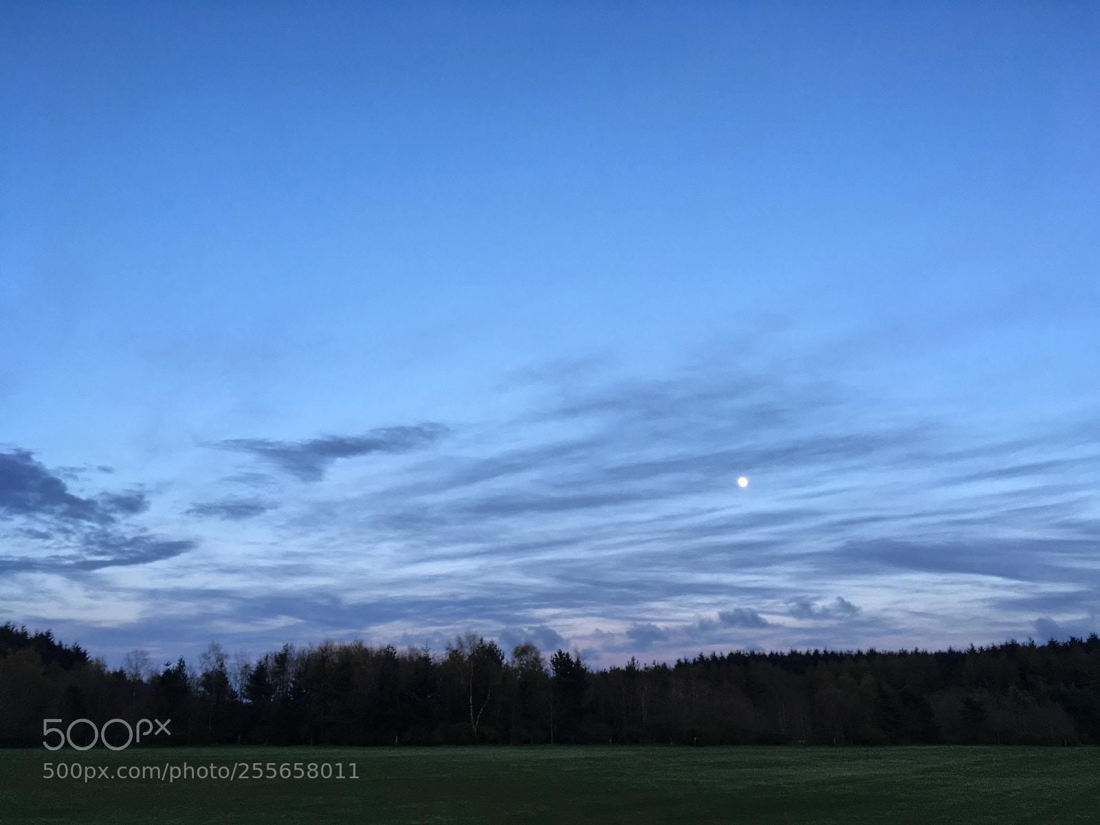 Apple iPhone SE sample photo. Moonlight ?☁️ photography
