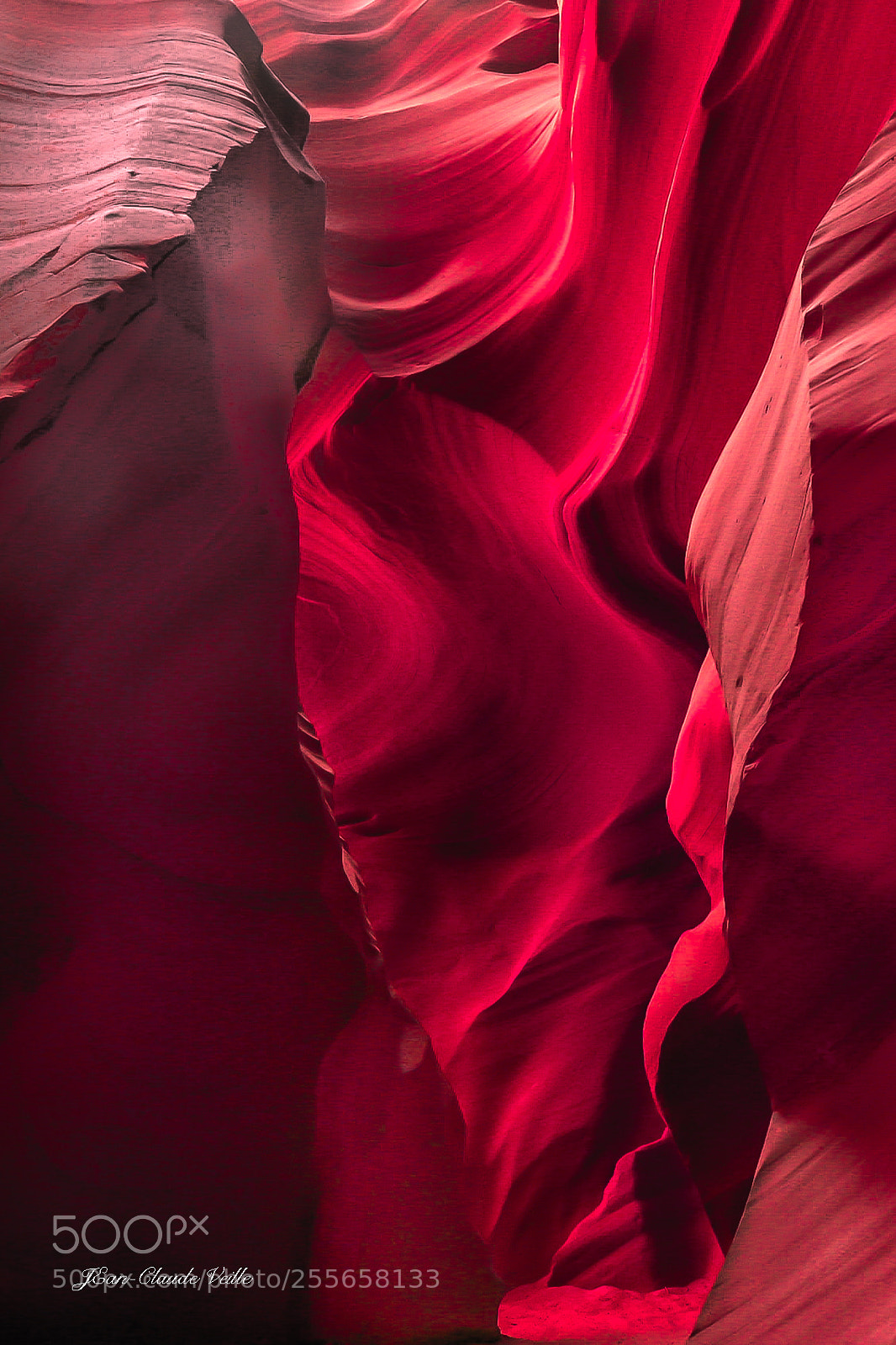 Canon EOS-1D X sample photo. Flagged pictures from utah photography