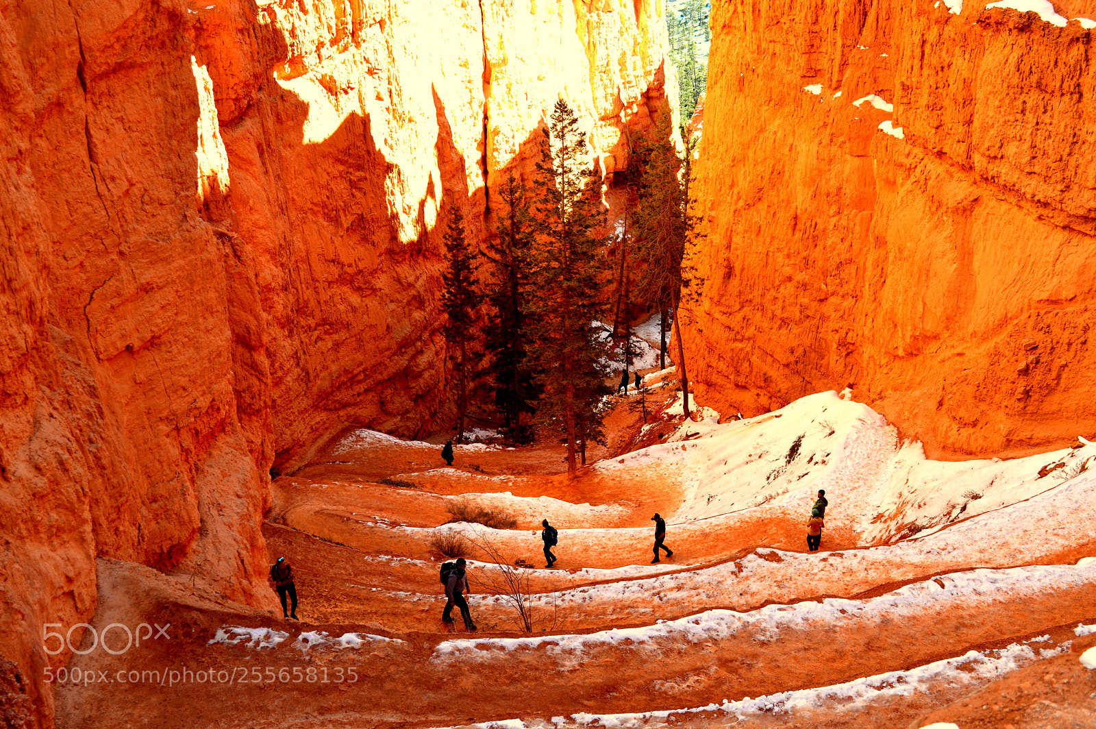 Nikon D3200 sample photo. Navajo trail bryce canyon photography