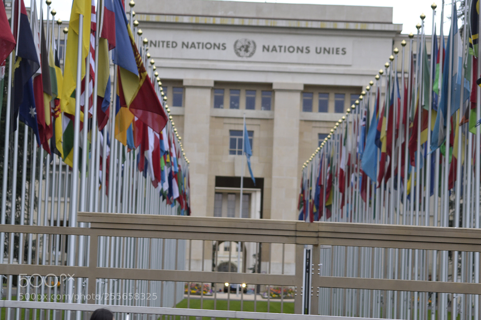 Nikon D3100 sample photo. United nations  photography
