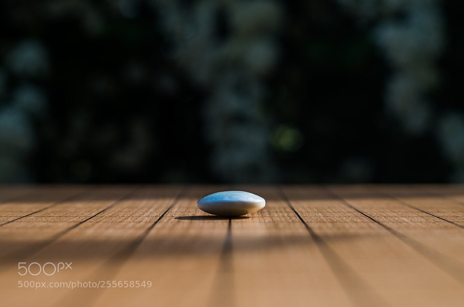 Pentax K-50 sample photo. Untitled photography