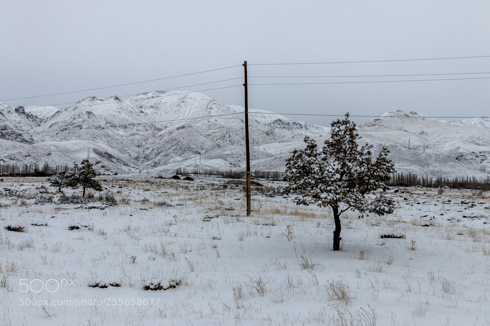 Canon EOS 80D sample photo. Tree and mountains near photography