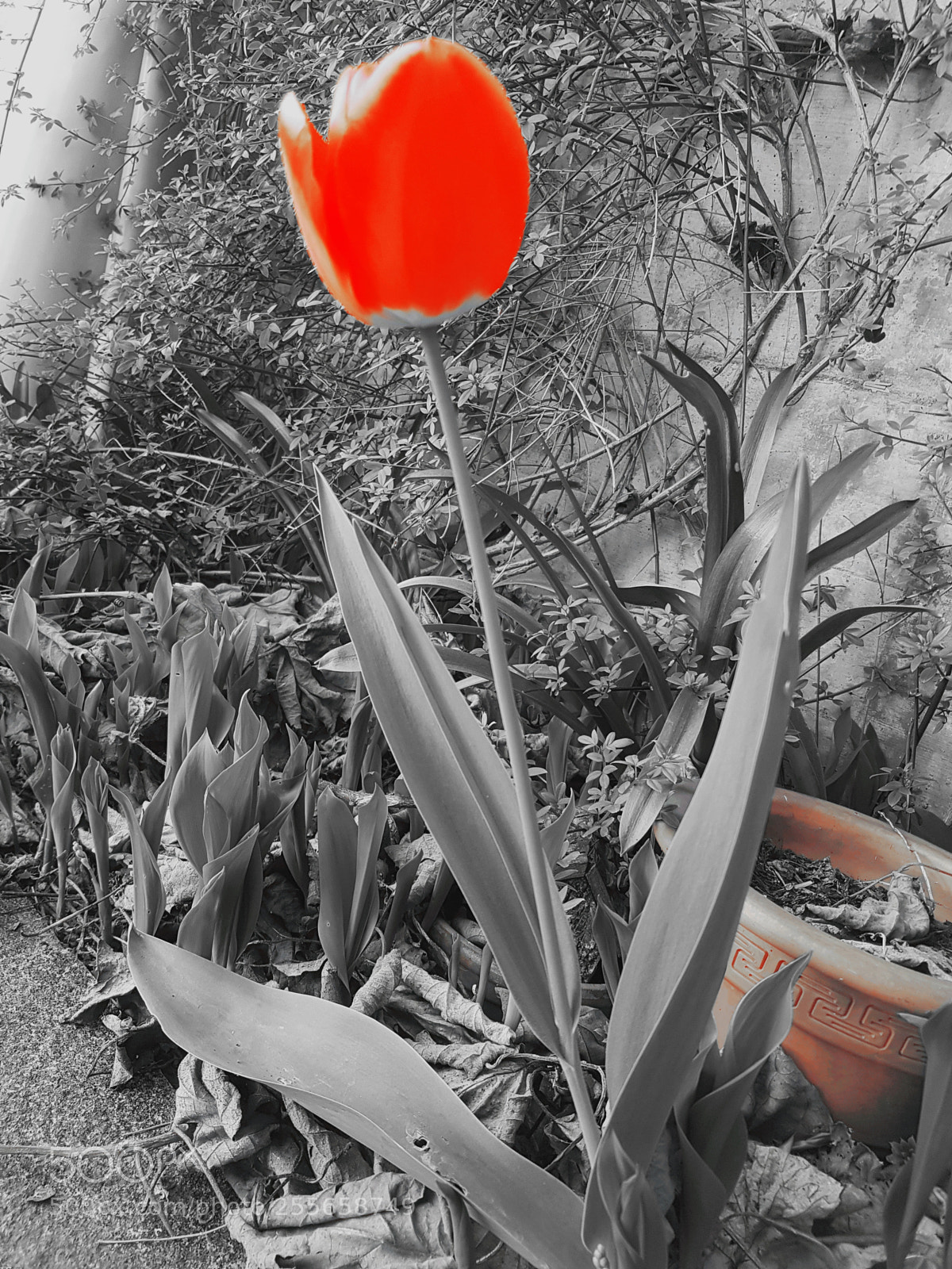 Samsung Galaxy S7 sample photo. Untitled photography
