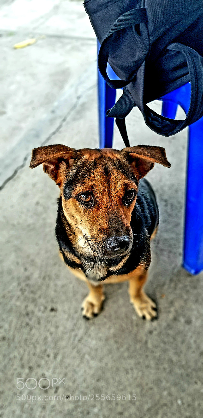 Samsung Galaxy S8 sample photo. Untitled photography
