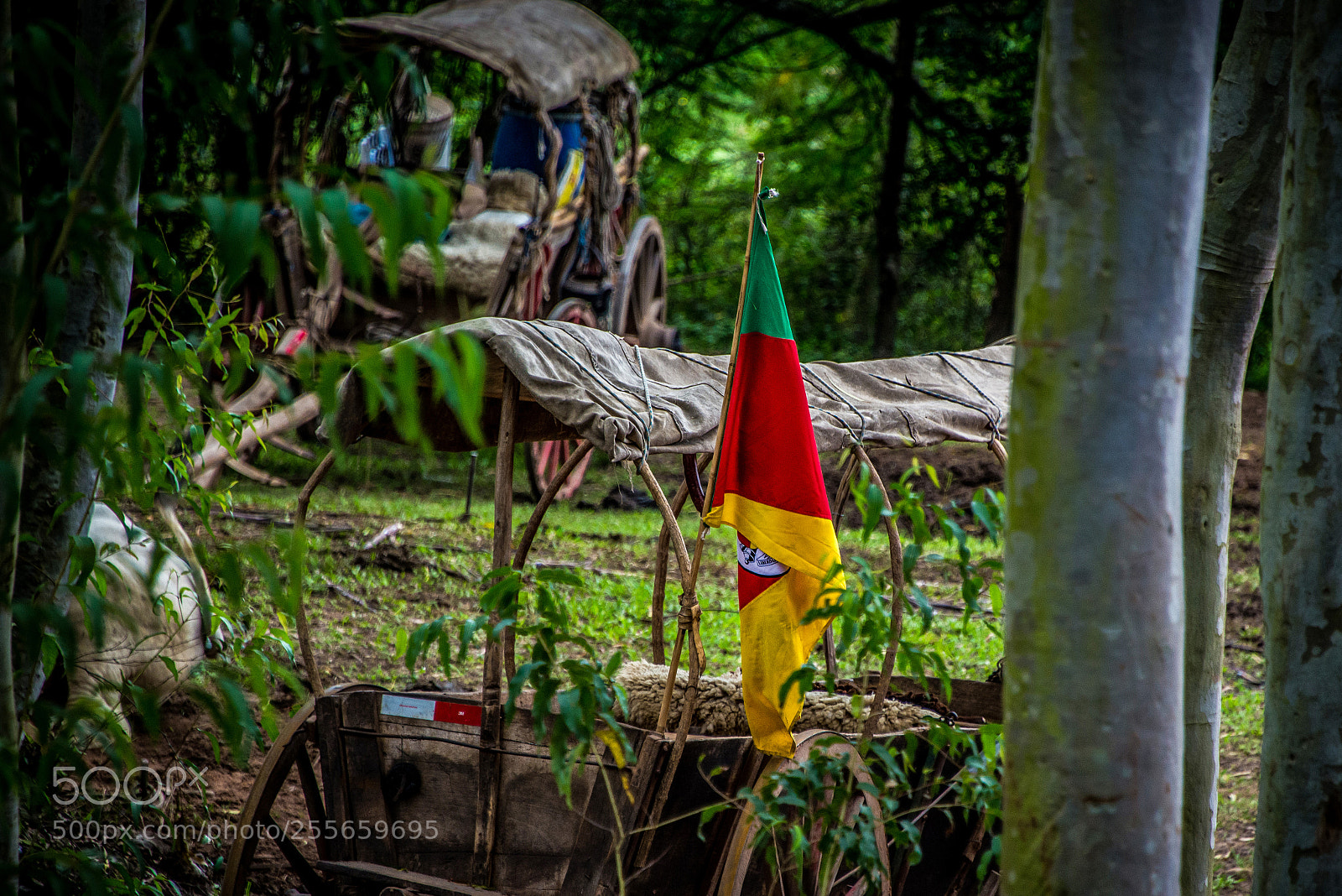 Nikon D610 sample photo. Rio grande do sul... photography