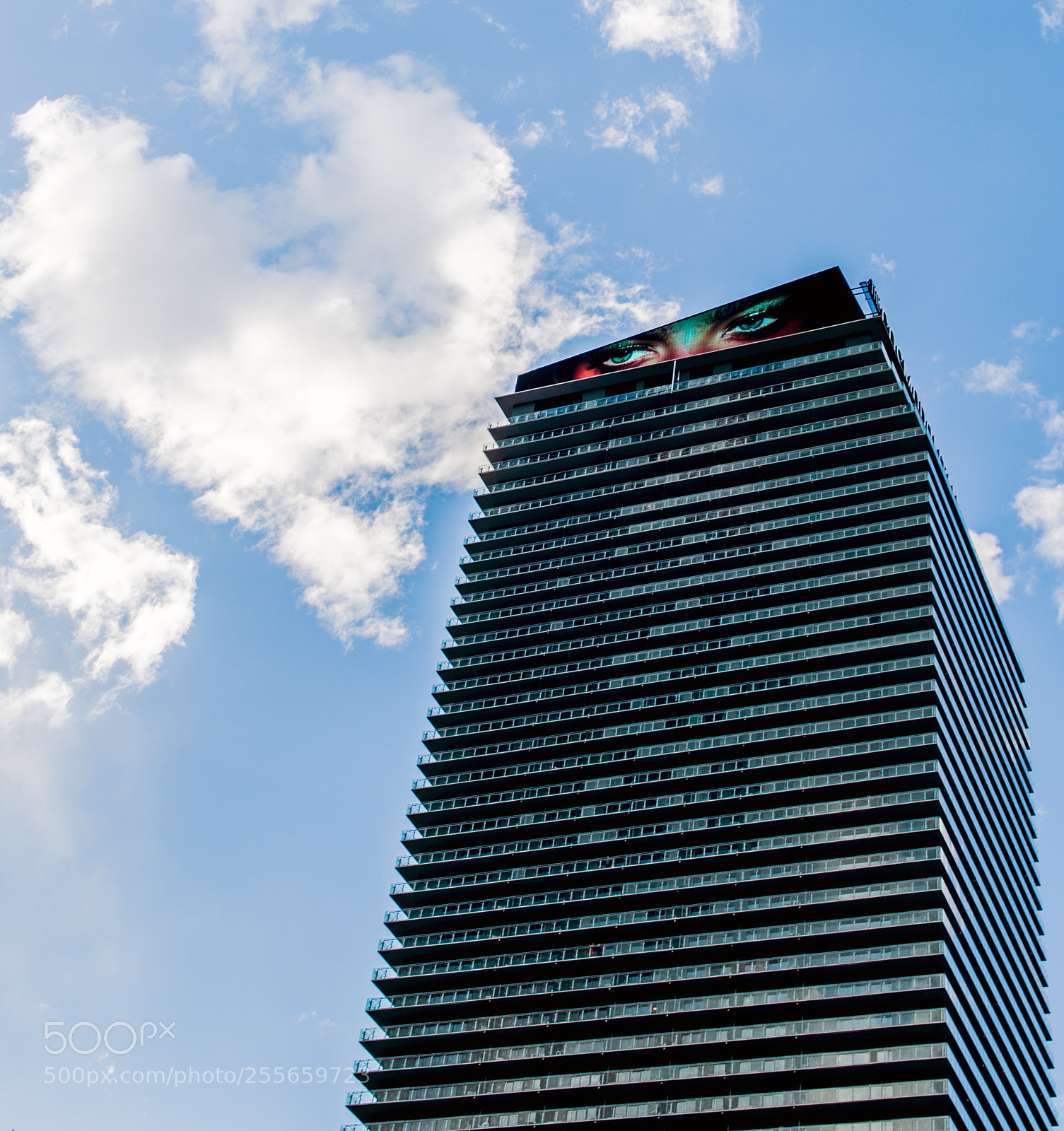 Nikon D610 sample photo. Helloiseeyou photography