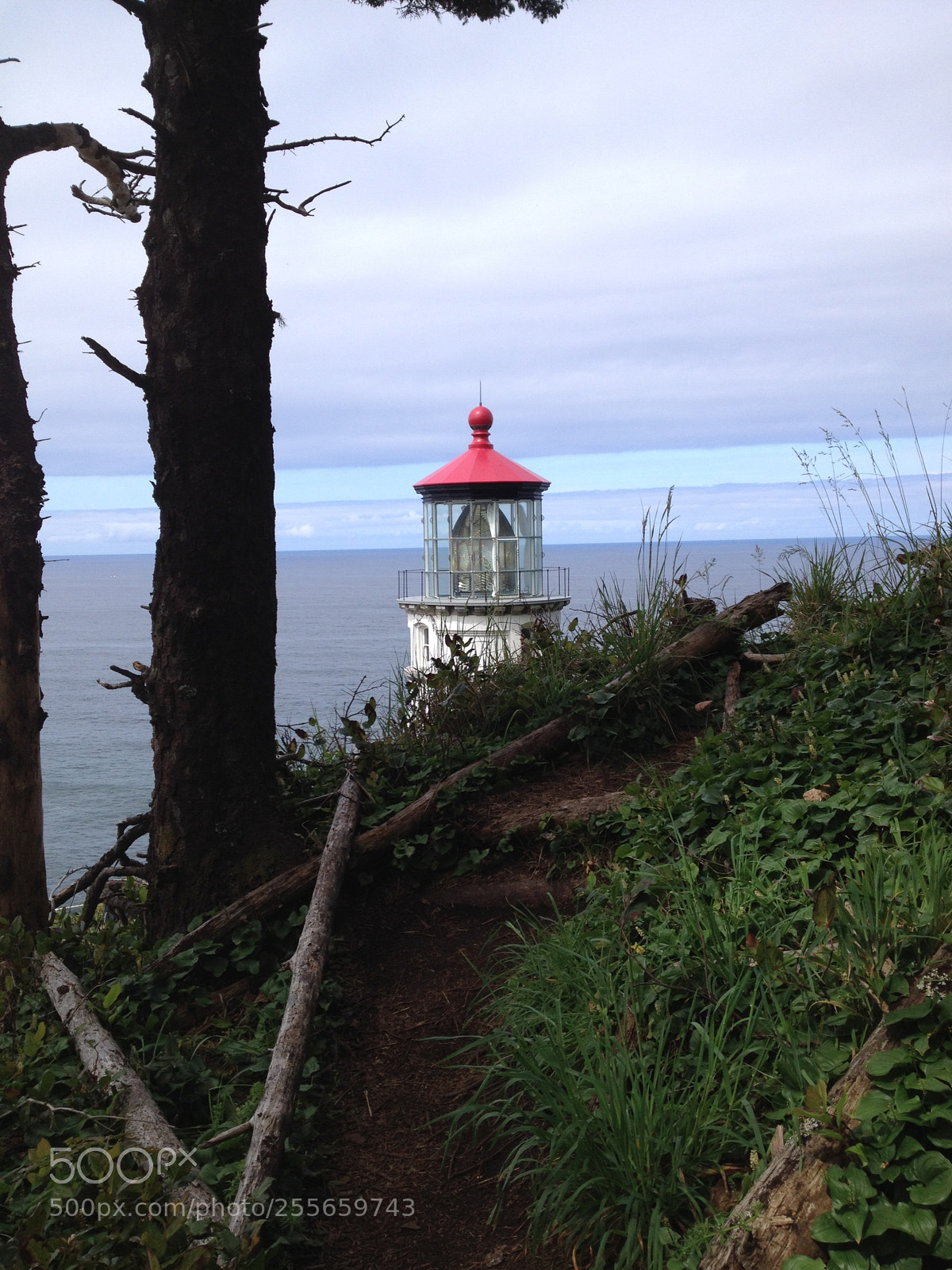 Apple iPhone 4S sample photo. Haceda head lighthouse, oregon photography