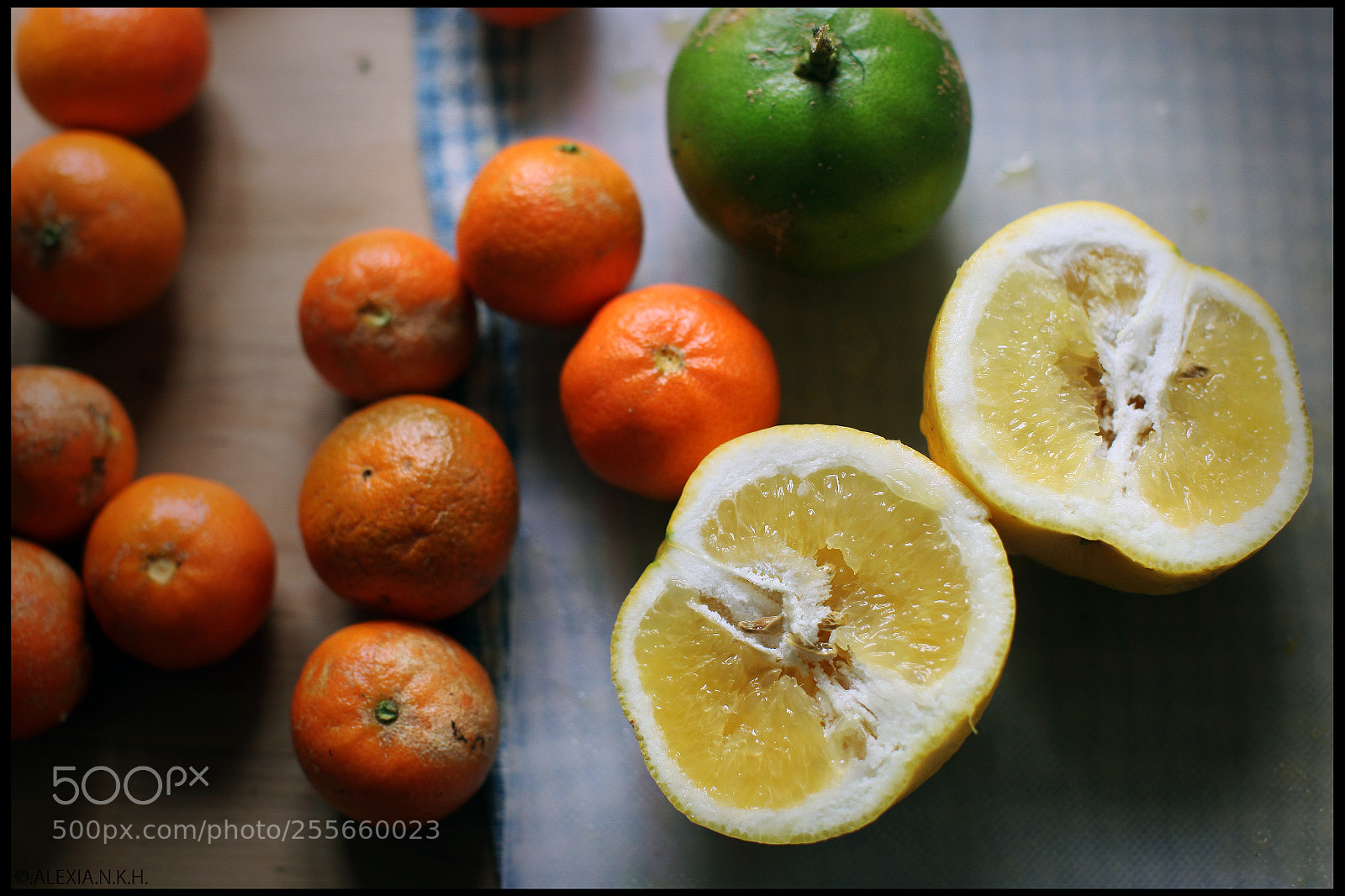 Canon EOS 5D Mark II sample photo. Have a break, have photography