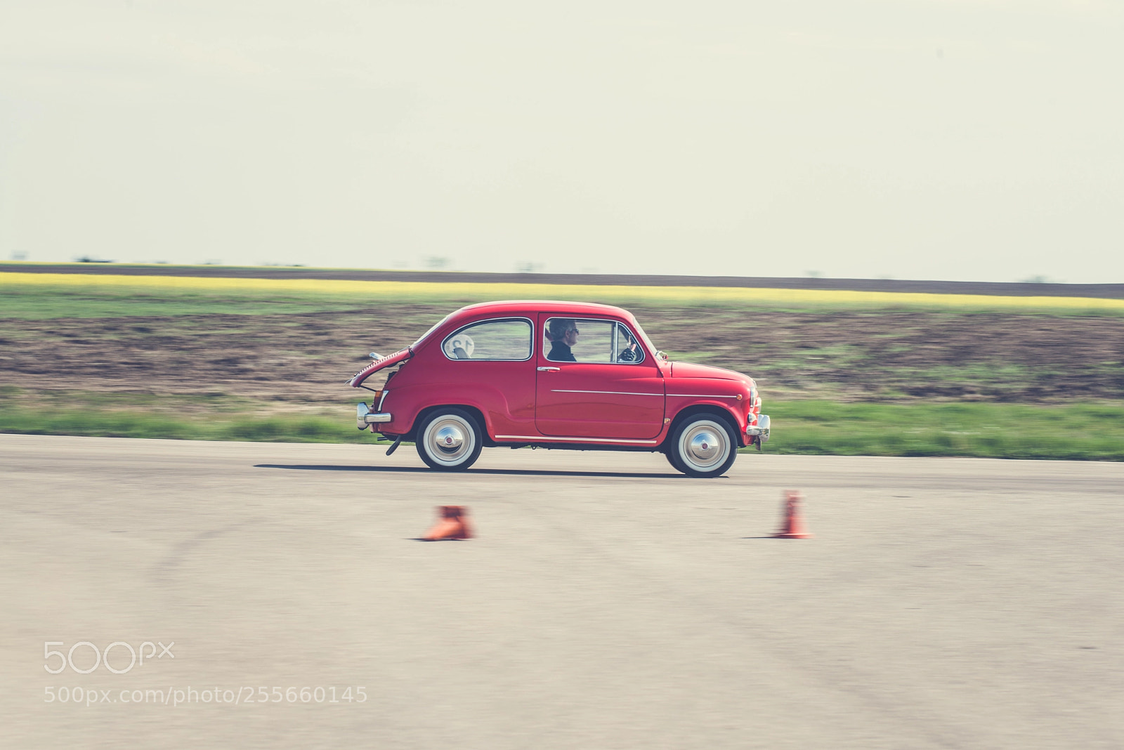 Nikon D800 sample photo. Fiat 600 photography