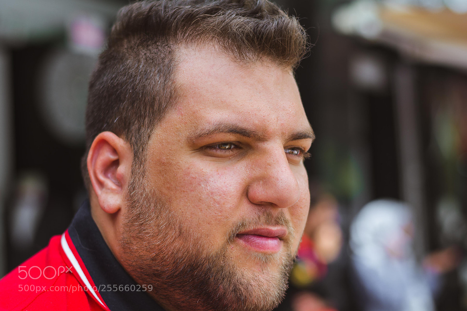 Nikon D5200 sample photo. Natural light photography