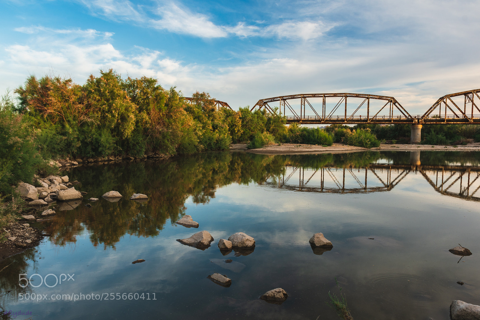 Nikon D5600 sample photo. Bridge reflection 5631 photography