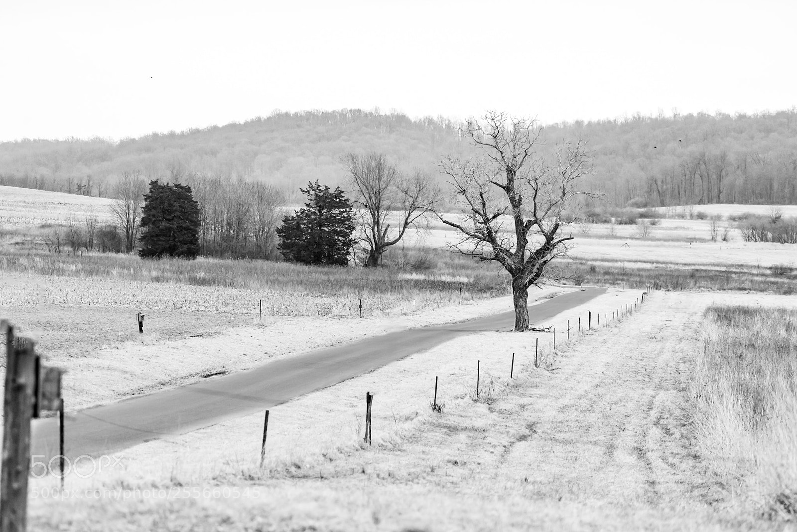 Nikon D600 sample photo. Middle creek wma iba photography