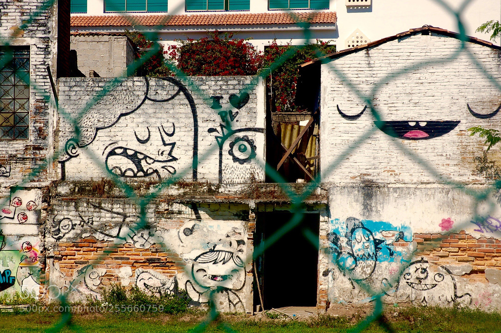 Nikon D50 sample photo. Street art photography