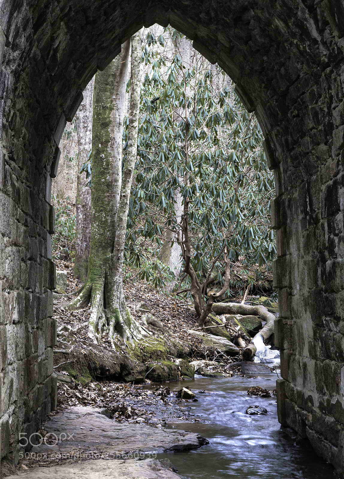 Sony a7R II sample photo. Picture at an exhibition photography
