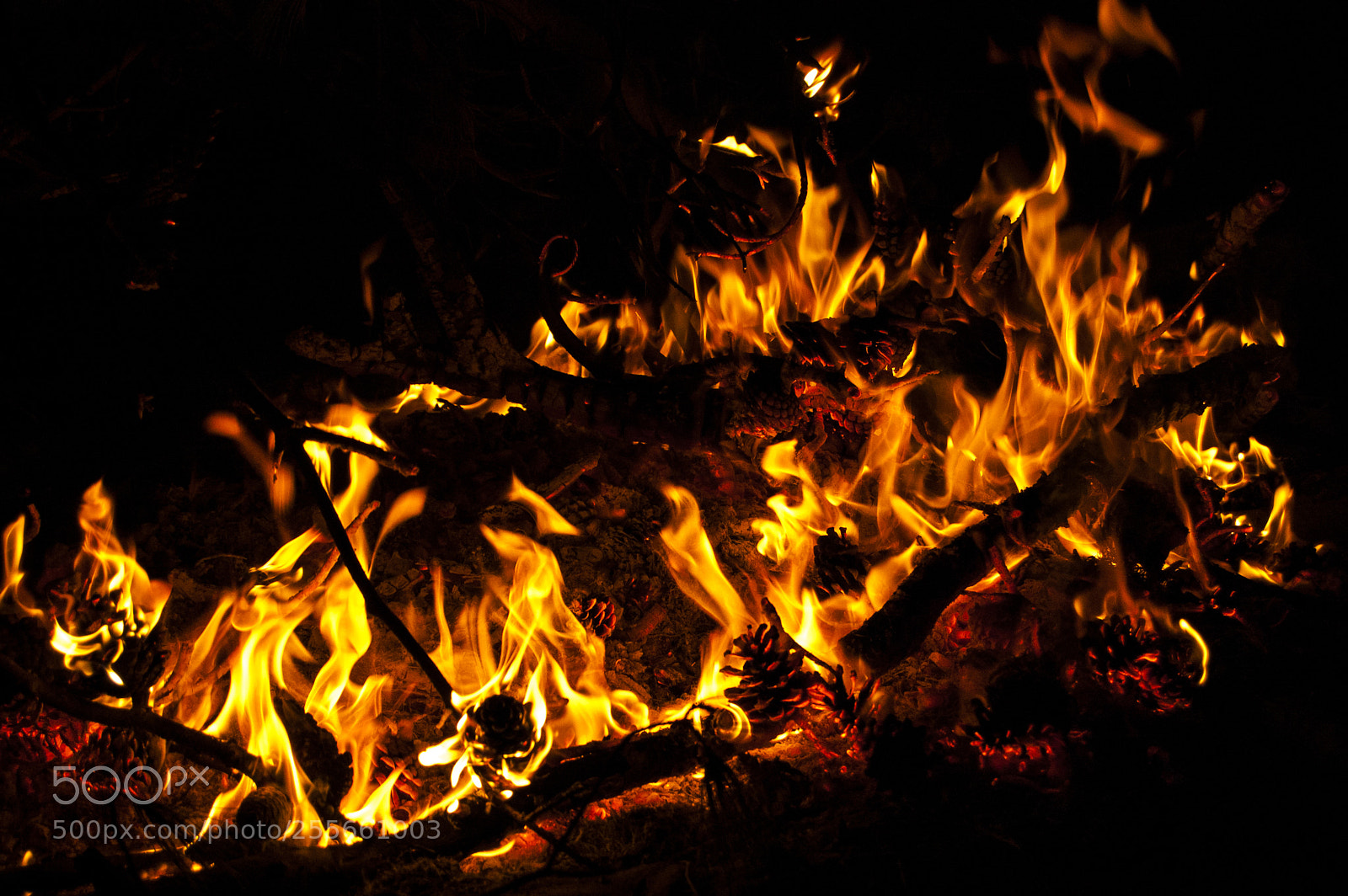 Nikon D40 sample photo. Fire photography
