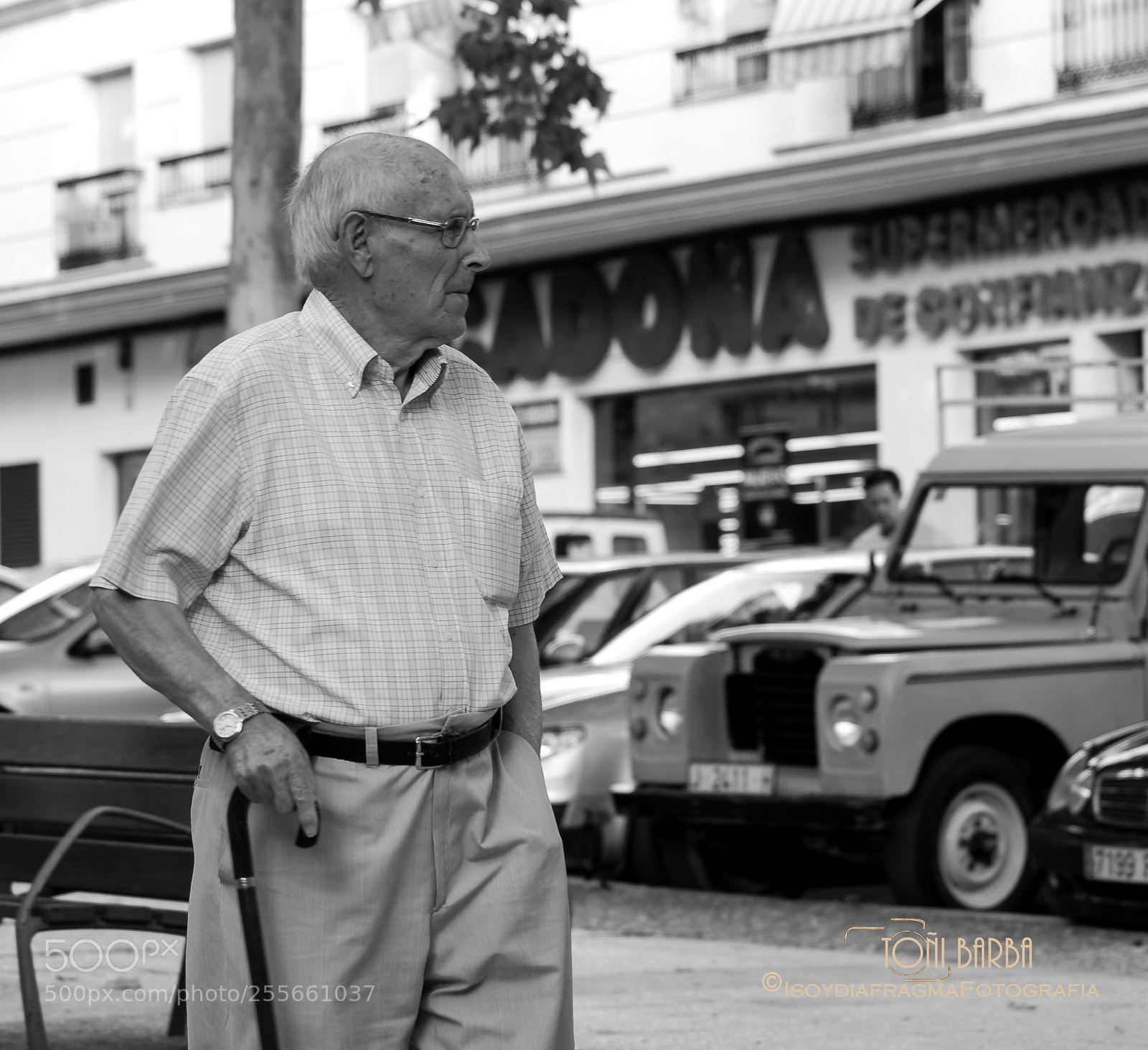 Nikon D80 sample photo. Untitled photography