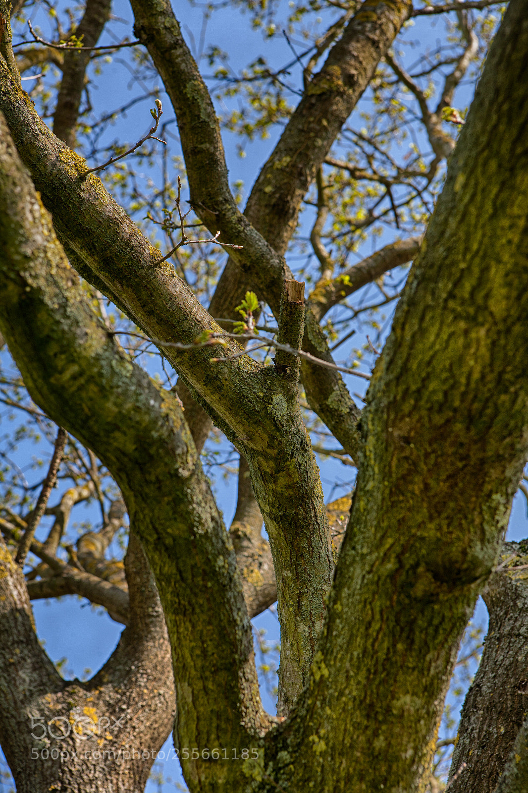 Canon EOS 5D sample photo. Layers photography