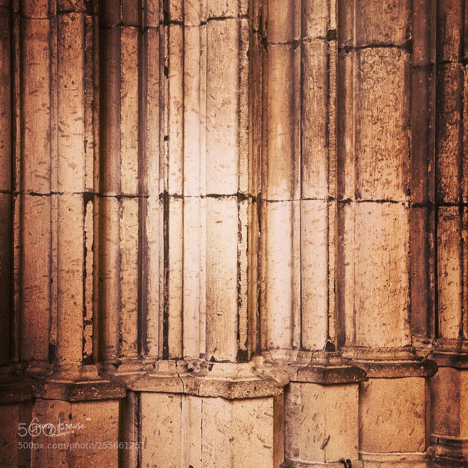 Canon EOS 6D Mark II sample photo. Dom stützen photography
