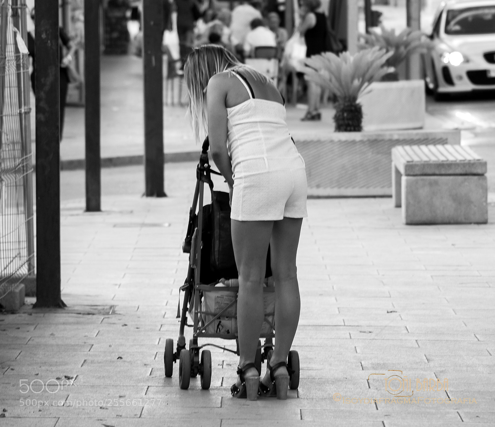 Nikon D80 sample photo. Untitled photography