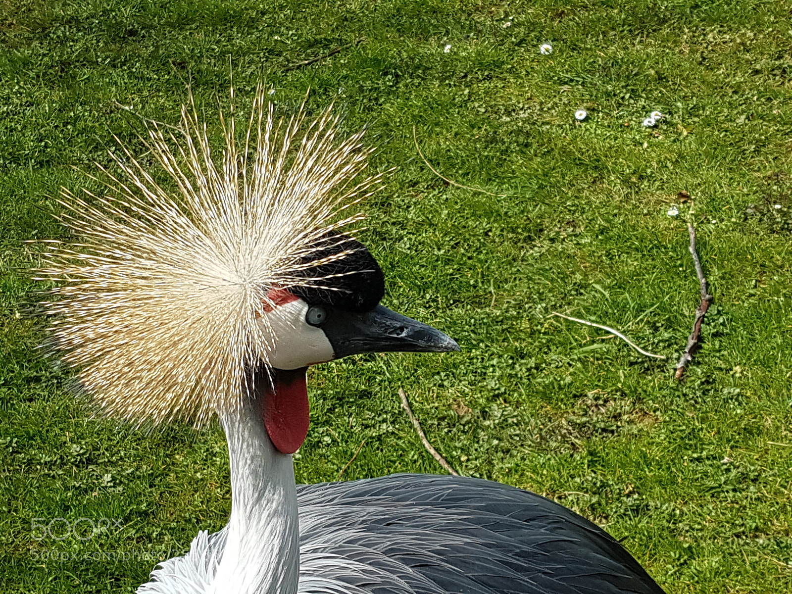 Samsung Galaxy S7 sample photo. Untitled photography