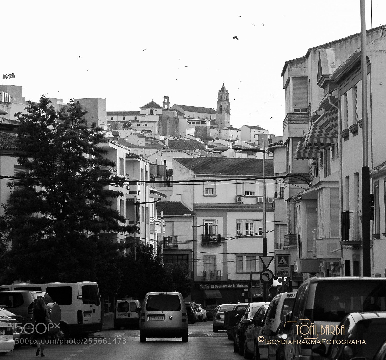 Nikon D80 sample photo. Untitled photography