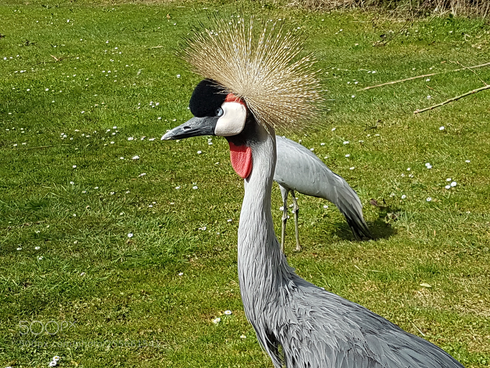 Samsung Galaxy S7 sample photo. Untitled photography