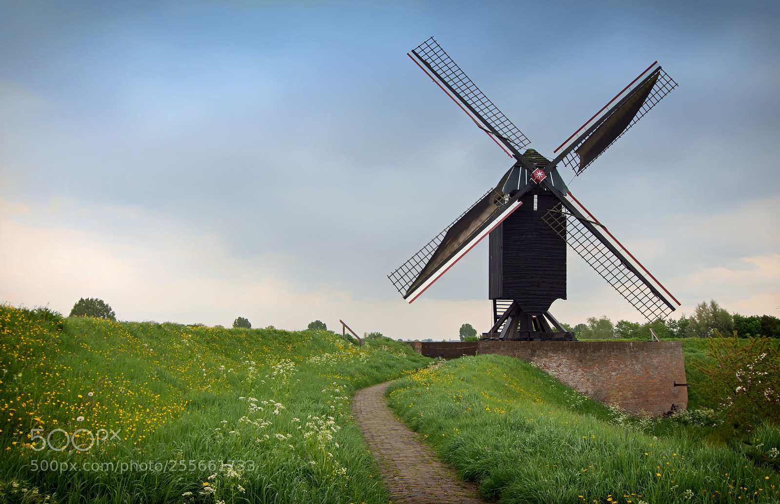 Nikon D7200 sample photo. Windmill photography