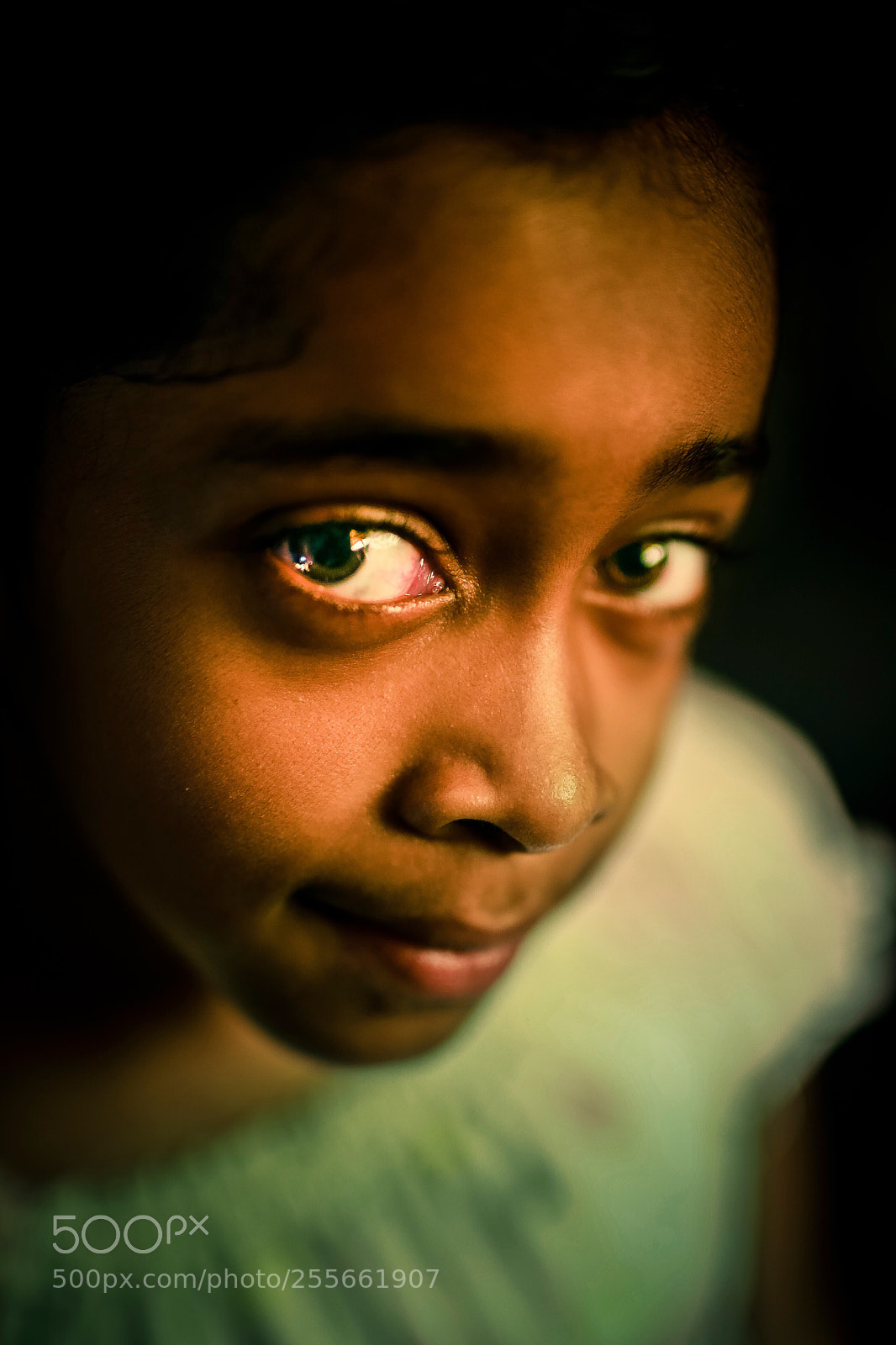 Canon EOS-1D X sample photo. Untitled photography