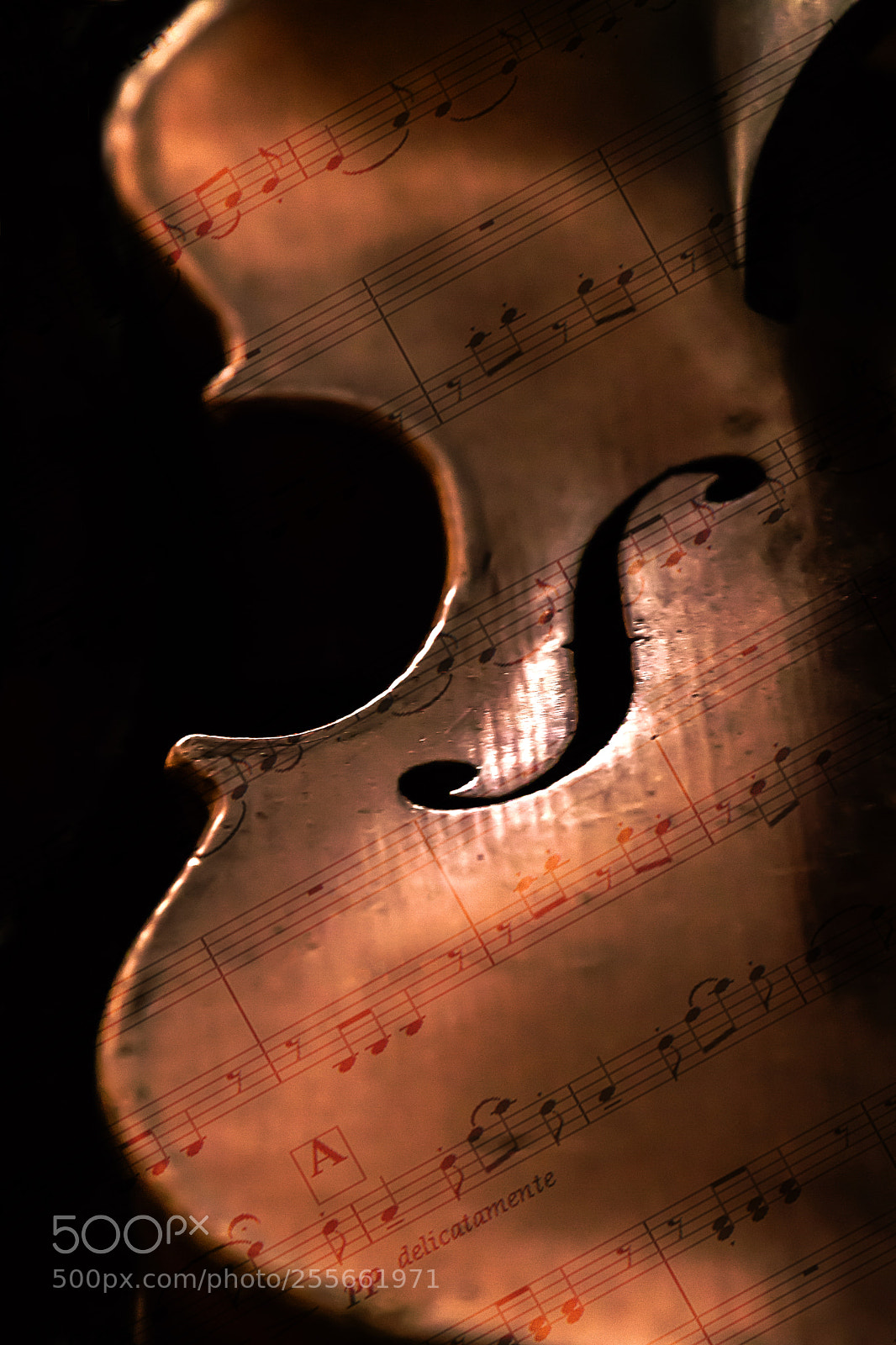Canon EOS 80D sample photo. Music maker photography