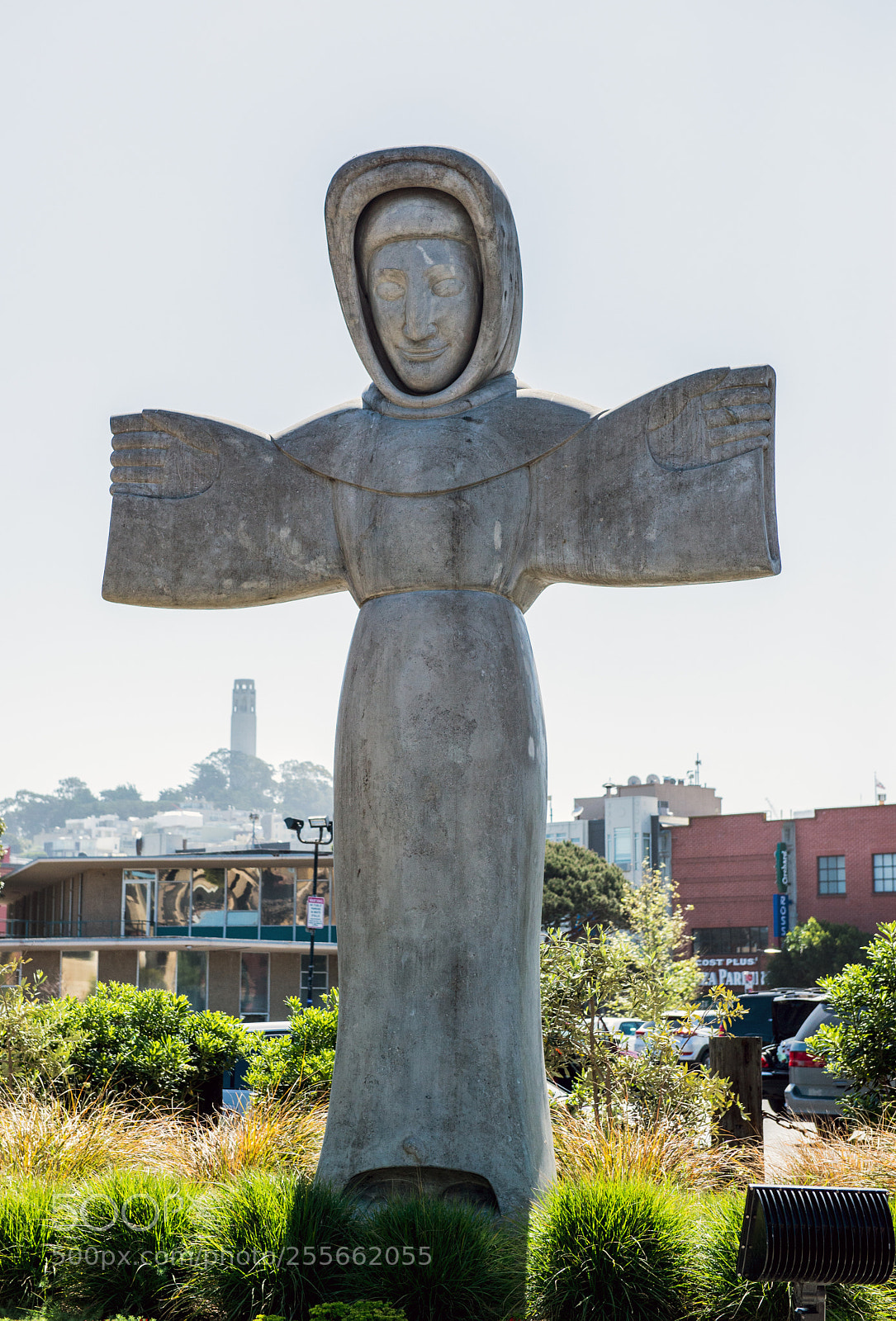 Nikon D610 sample photo. Sanfrancisco photography