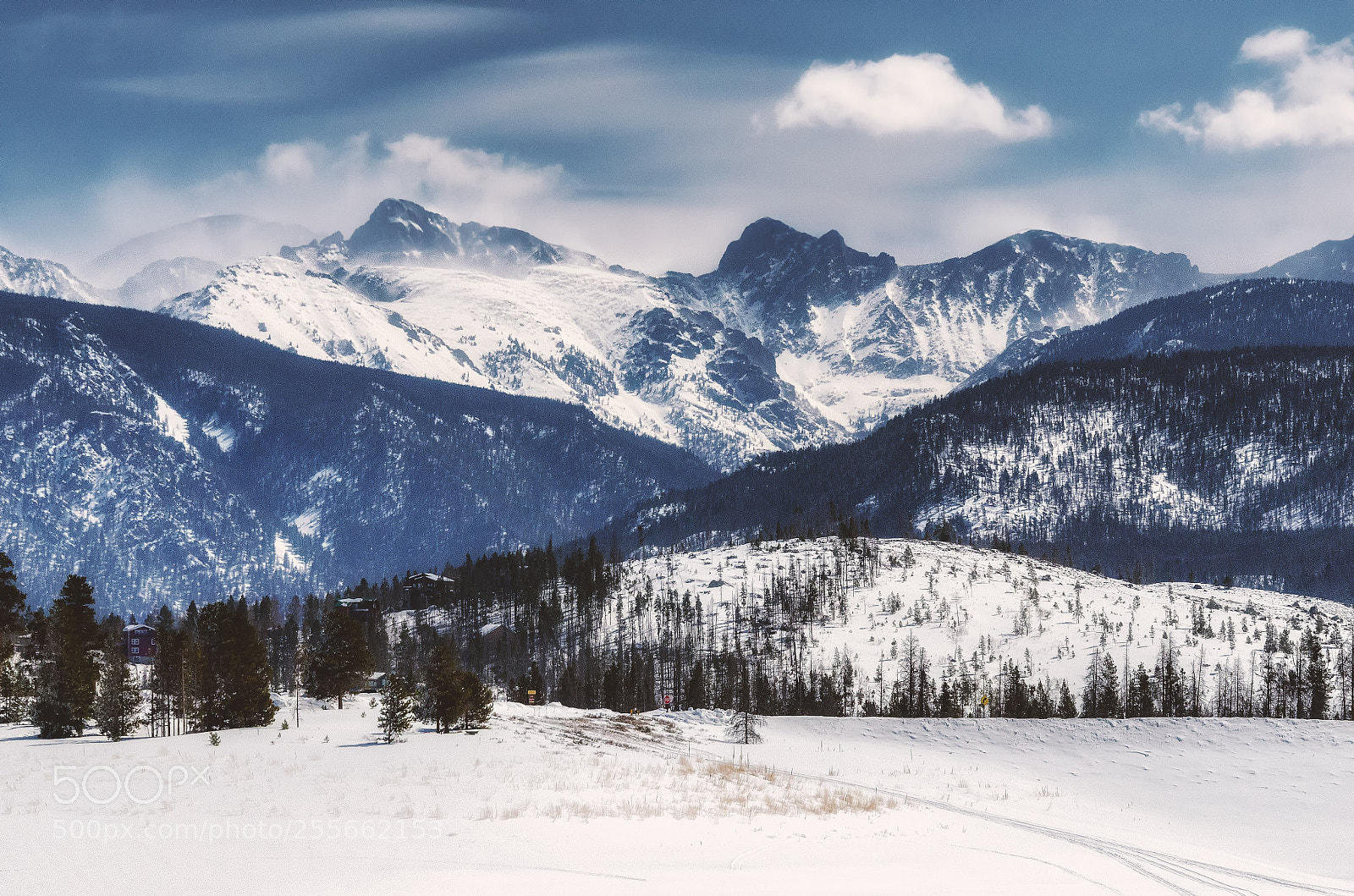 Nikon D7000 sample photo. Coldness photography