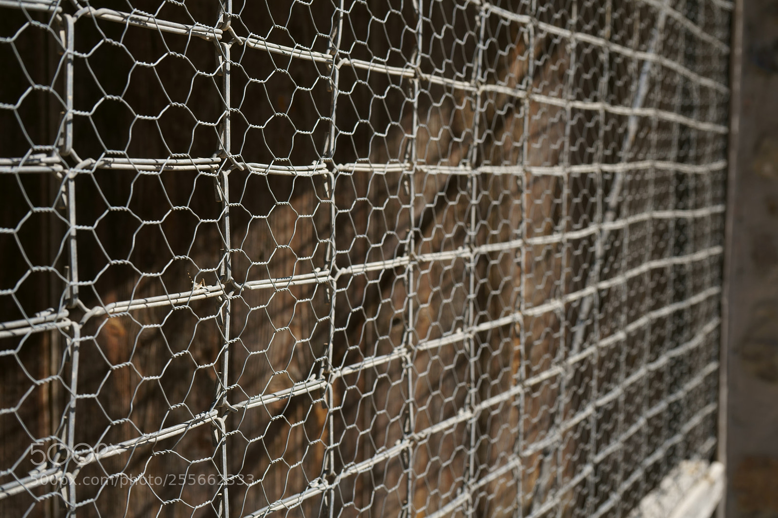 Sony a7 sample photo. Puerta de alambre photography