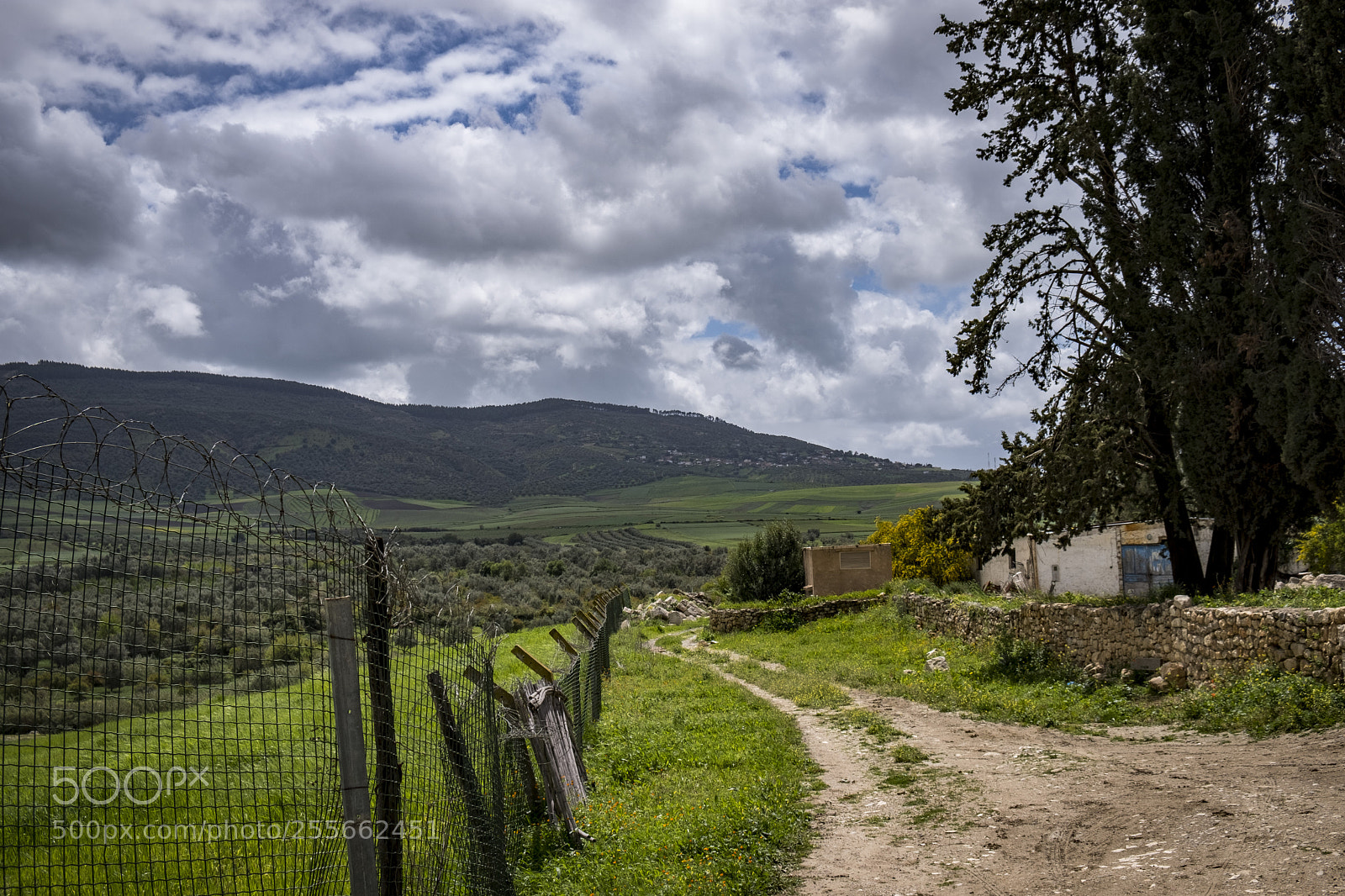 Fujifilm X-T20 sample photo. Dirt road photography