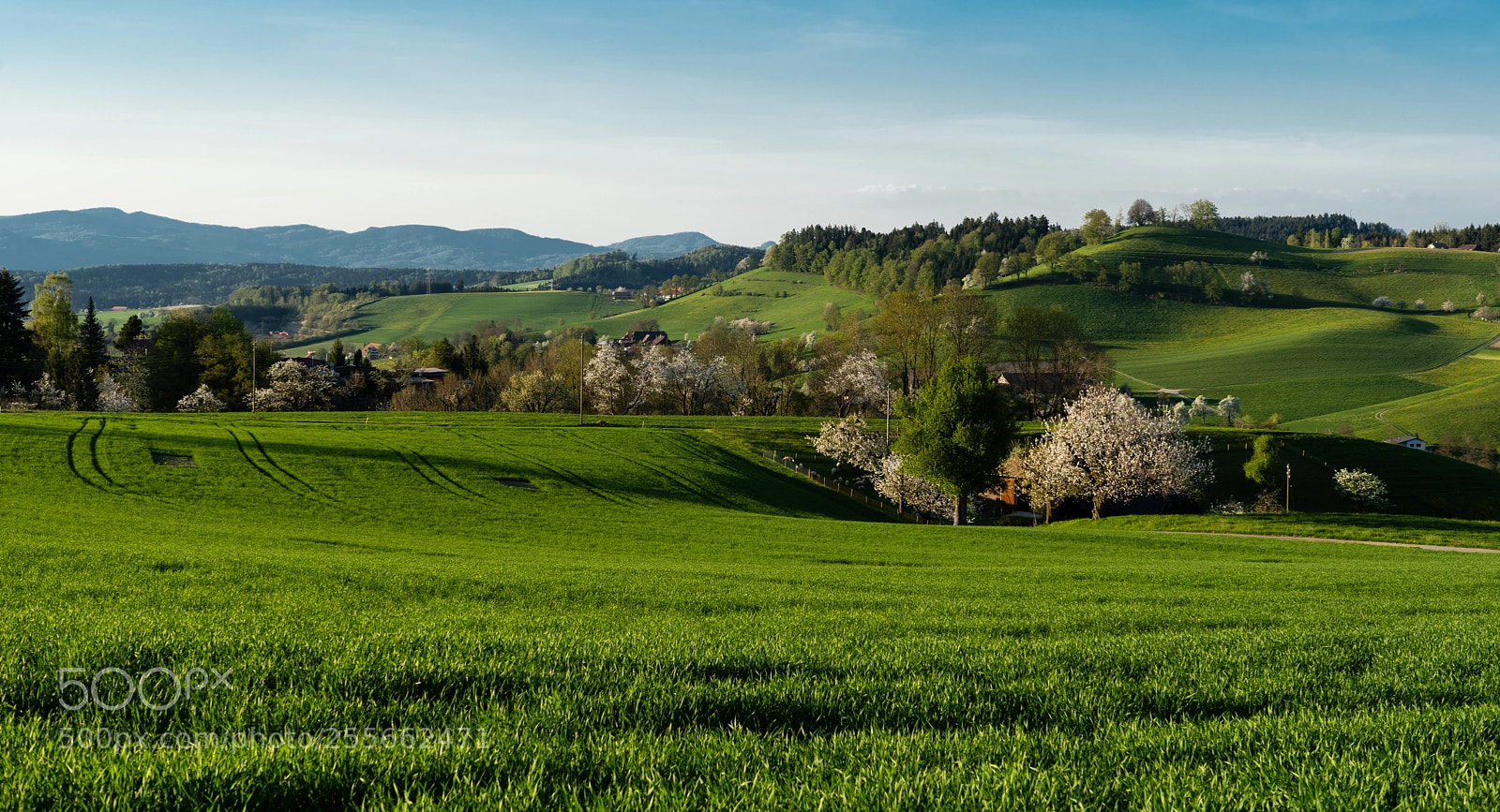 Sony a7 III sample photo. Swiss hills photography