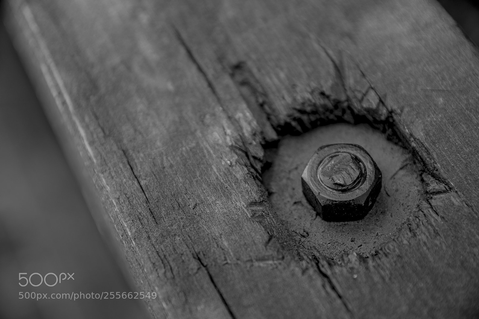 Nikon D7200 sample photo. Old wooden rail photography