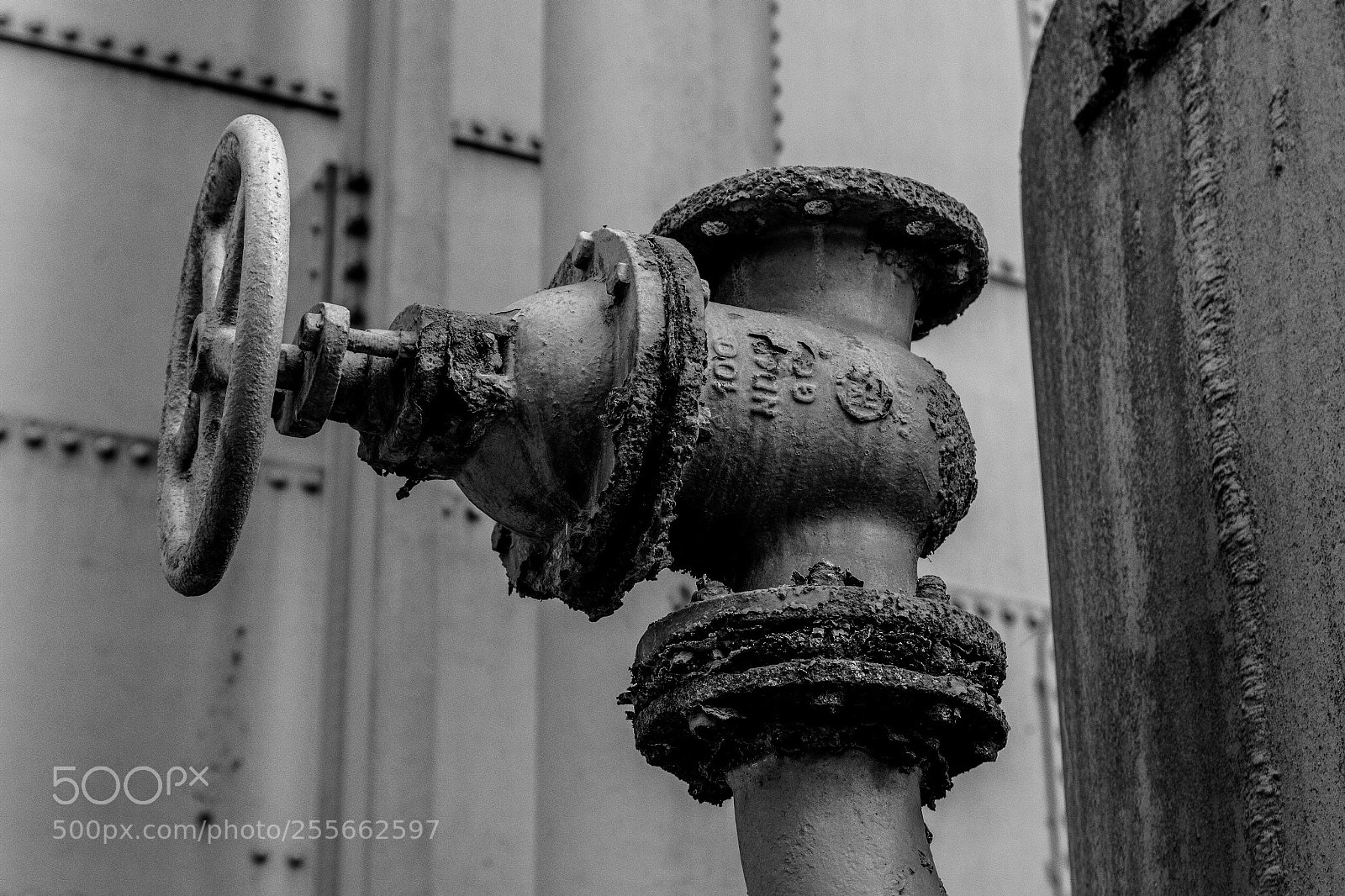 Canon EOS 70D sample photo. Unwiderbringlich photography