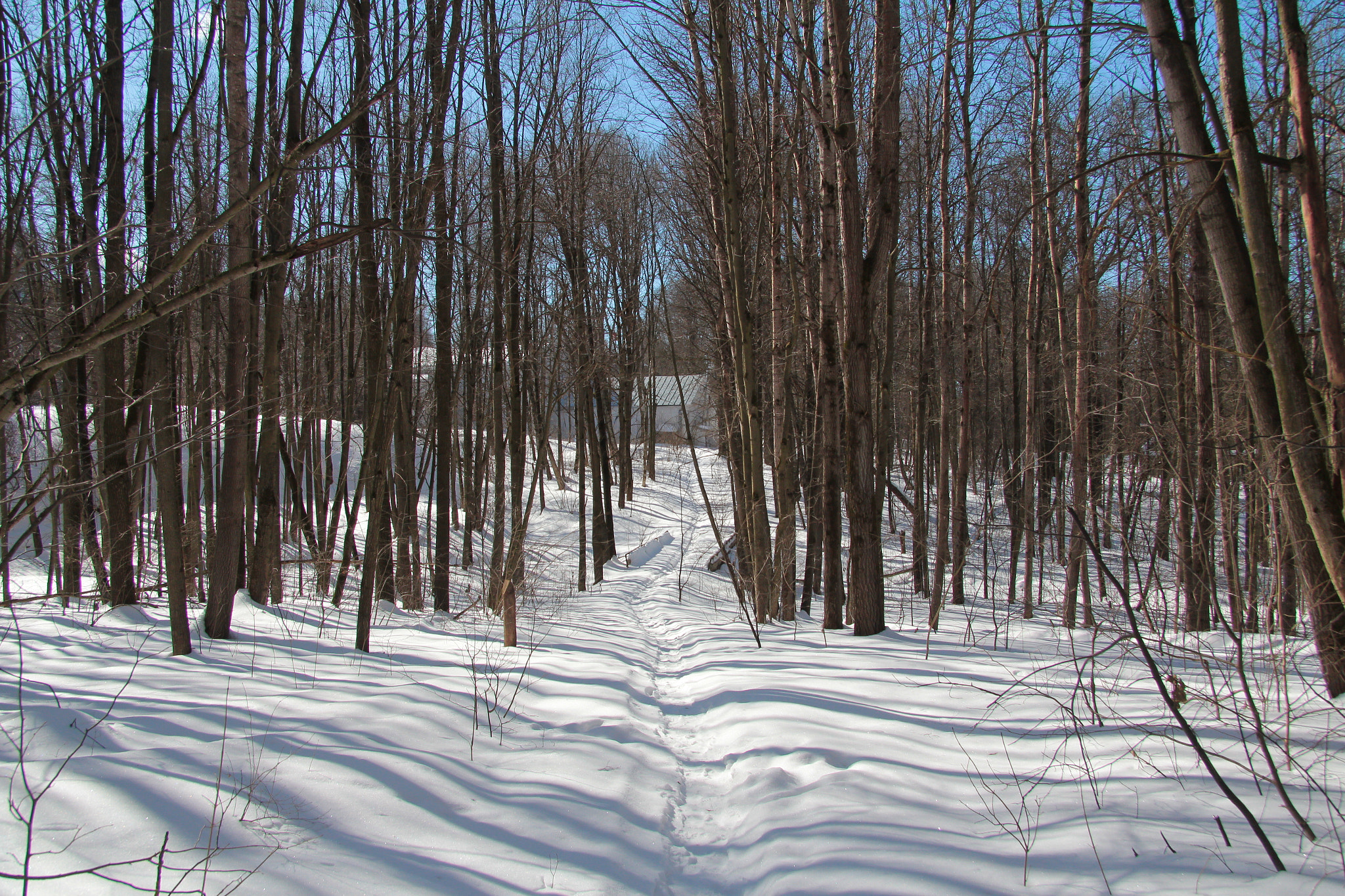 Canon EOS 60D + Canon EF-S 17-85mm F4-5.6 IS USM sample photo. Winter trail photography