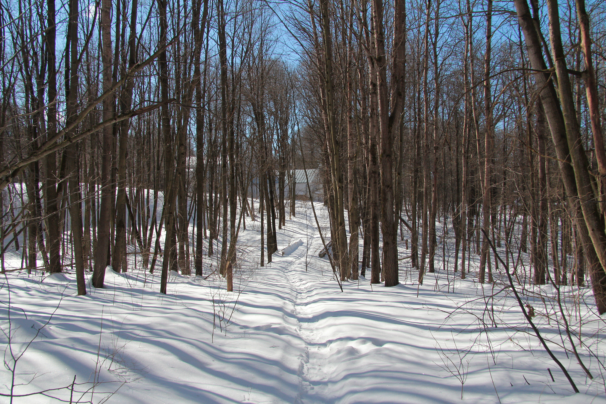 Canon EF-S 17-85mm F4-5.6 IS USM sample photo. Winter trail photography