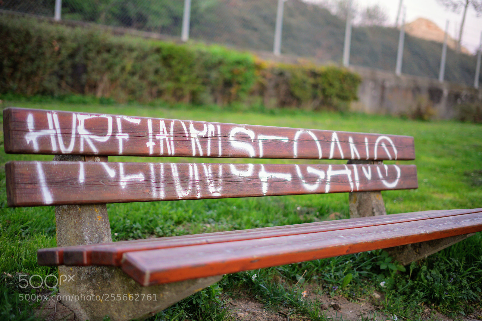 Sony a7 sample photo. The bench photography