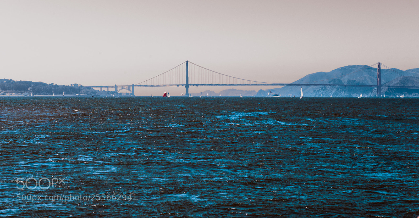 Nikon D610 sample photo. Golden photography