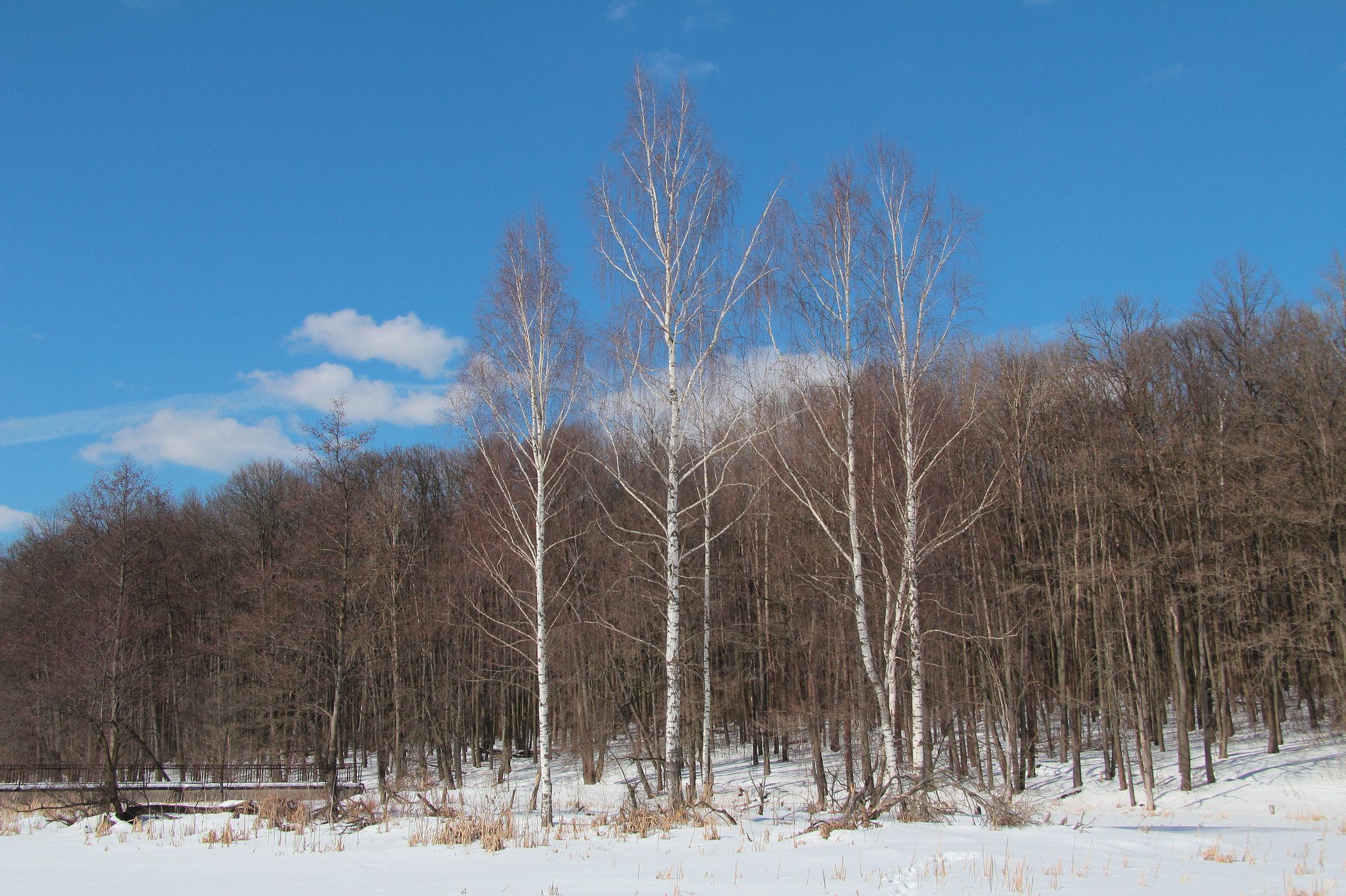 Canon EF-S 17-85mm F4-5.6 IS USM sample photo. Blue sky photography