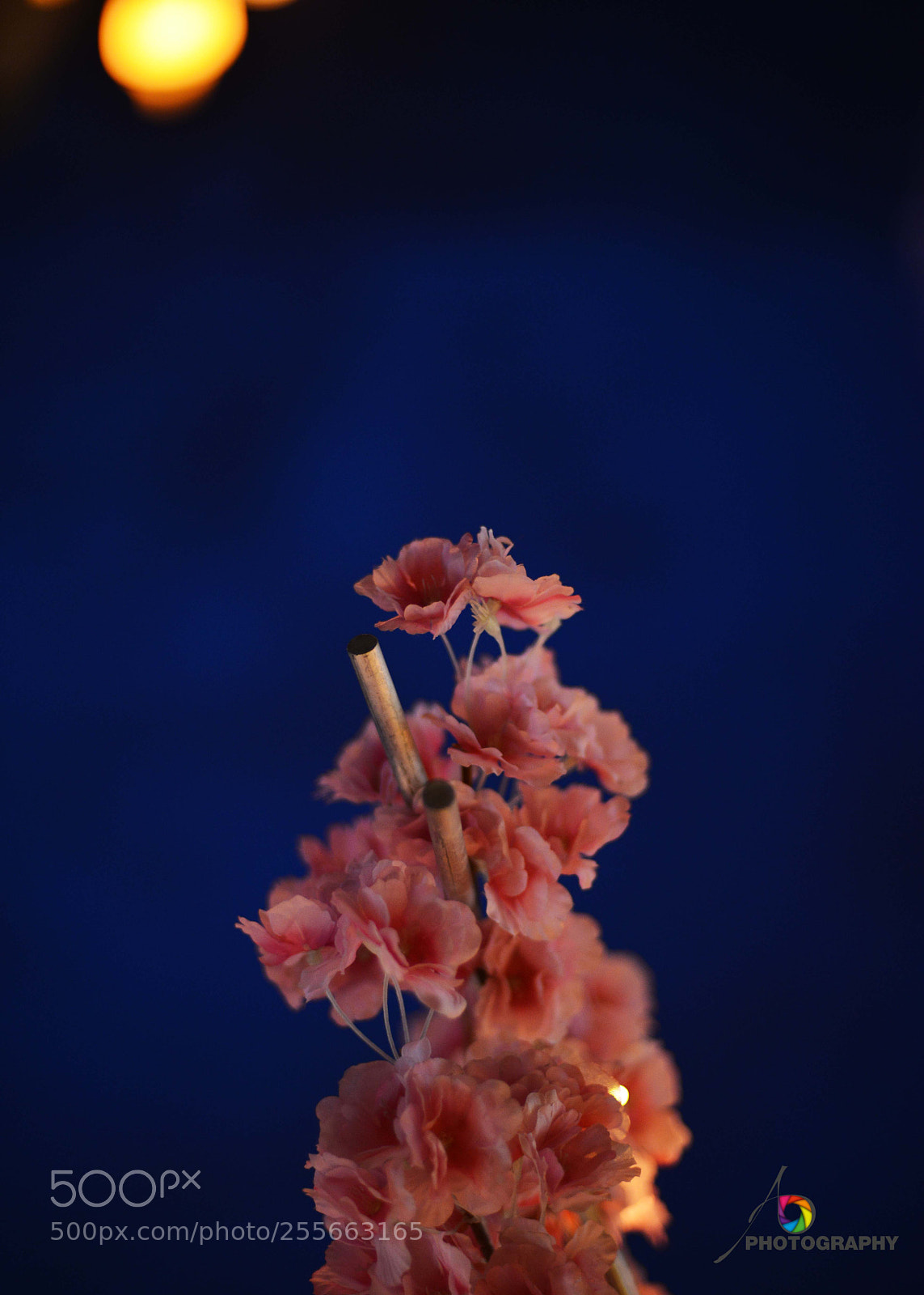 Nikon D800 sample photo. 3.jpg photography