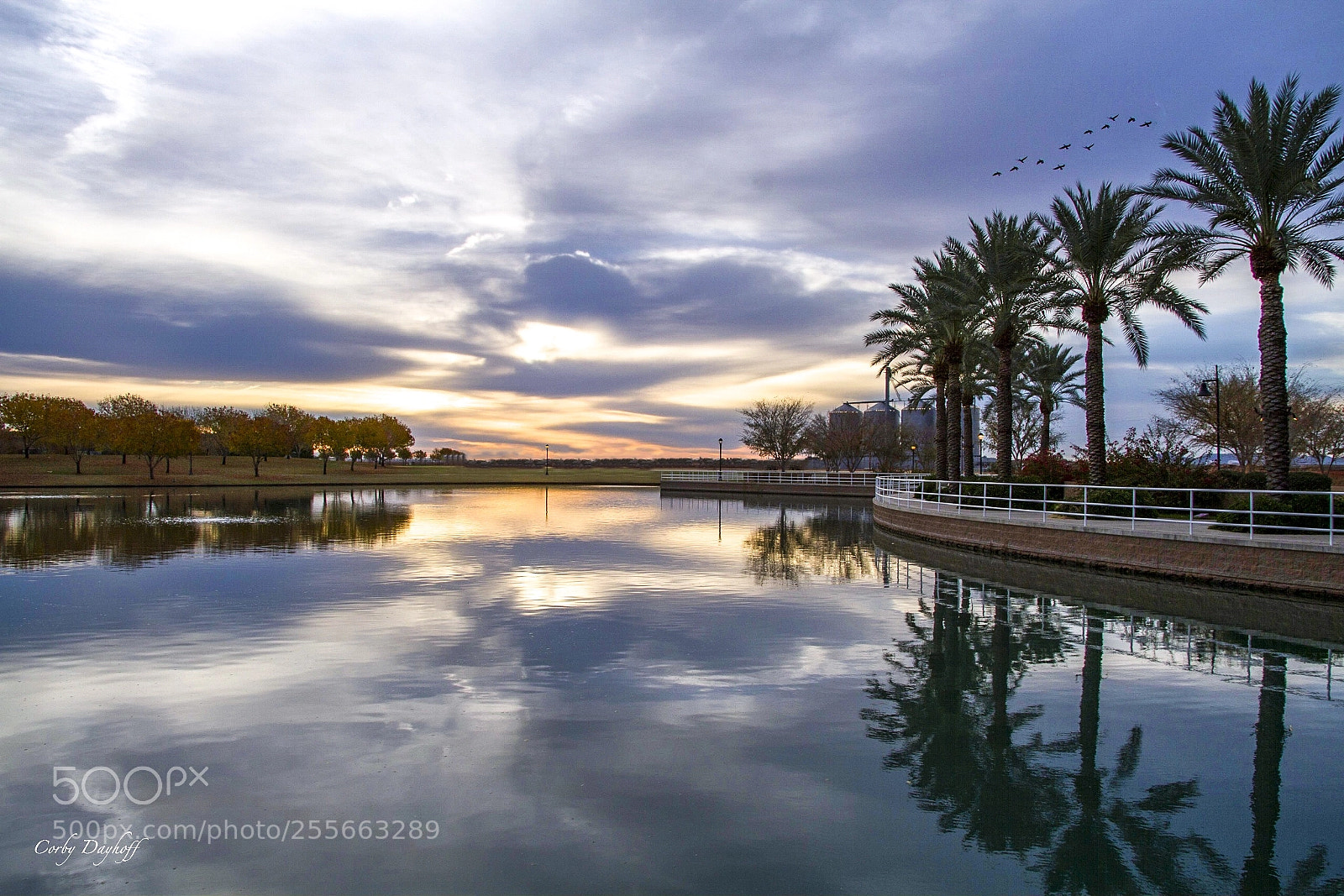 Canon EOS 7D sample photo. Higley park, gilbert arizona. photography