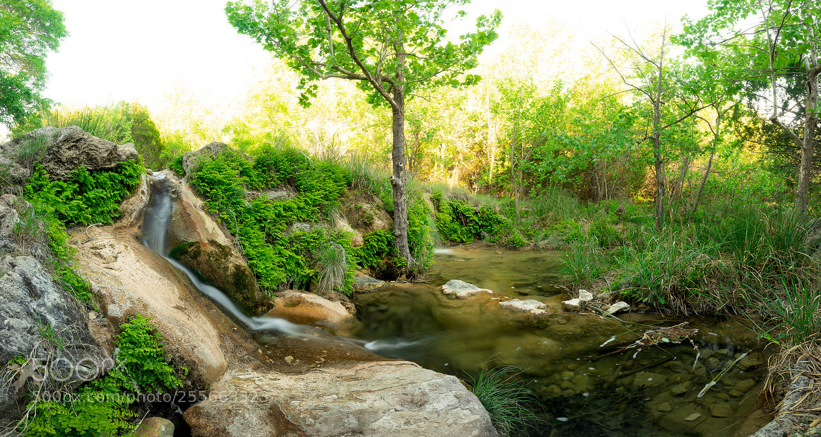 Sony a7 sample photo. Spicewood springs photography
