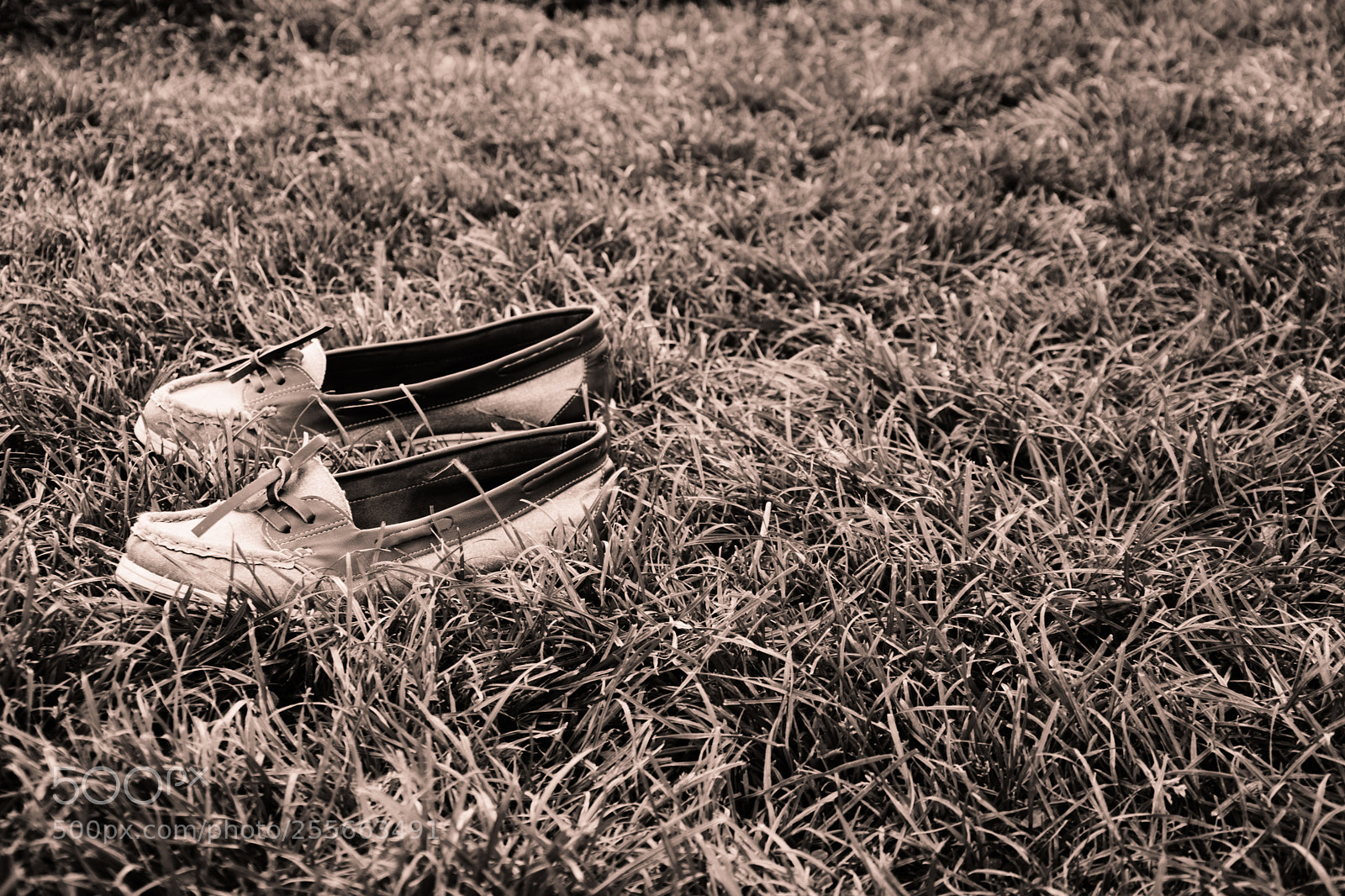 Nikon D7100 sample photo. Verão de 1920 photography