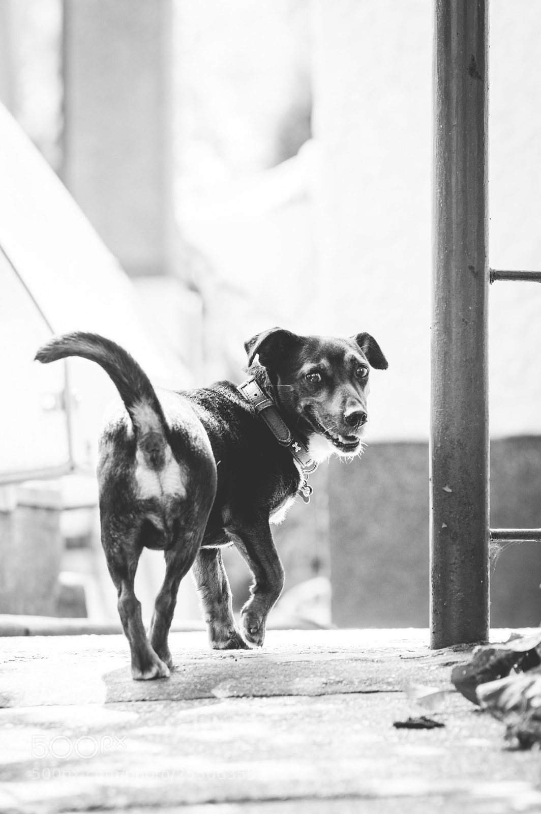 Pentax K-3 sample photo. Untitled photography